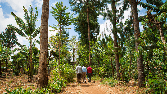 bristol-myers-squibb-foresta-aziendale-treedom-progetto-sostenibilità