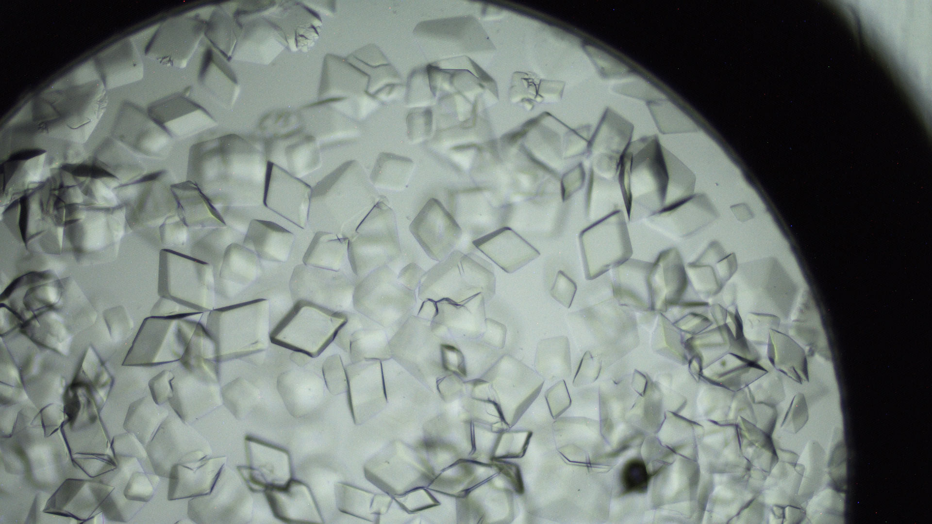 protein crystal growth experiments