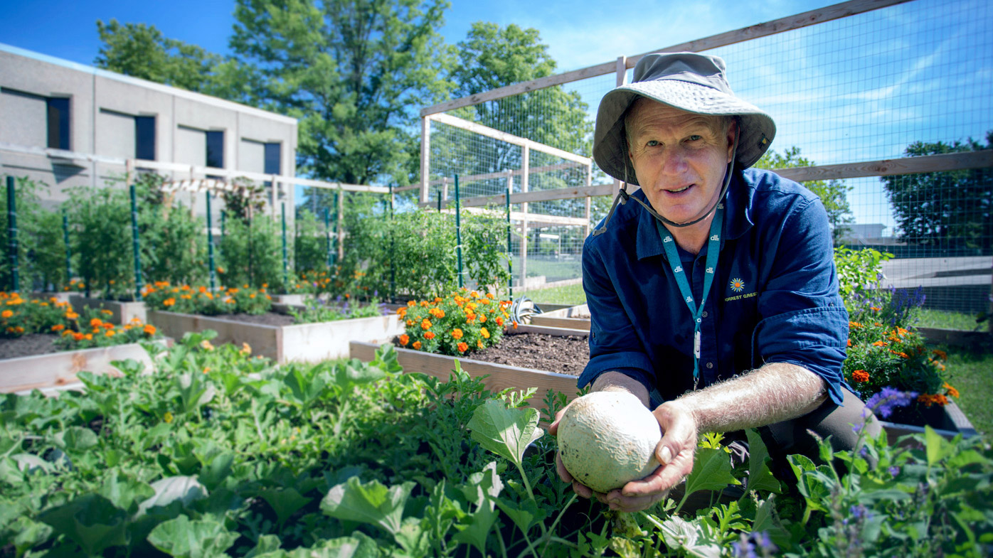 Man in his garden